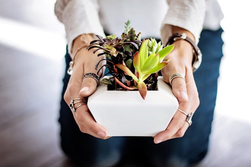 Creative plant pots