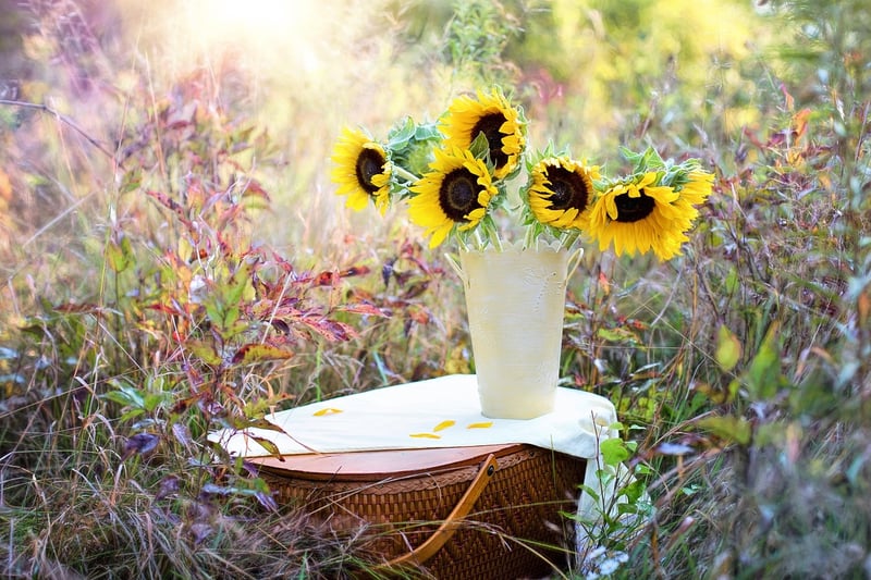 Custom plant arrangements